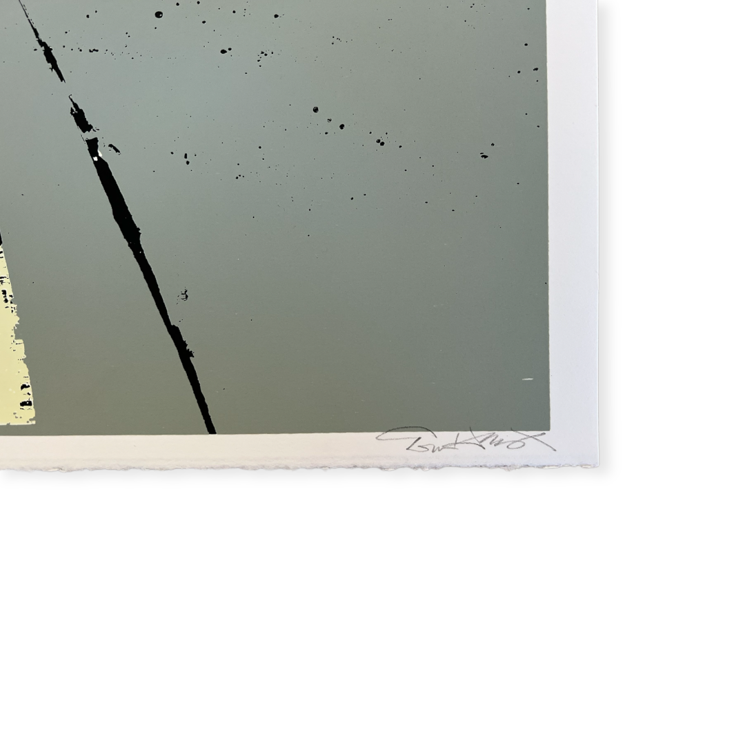 Evan Hecox, Mass Movement, 2009